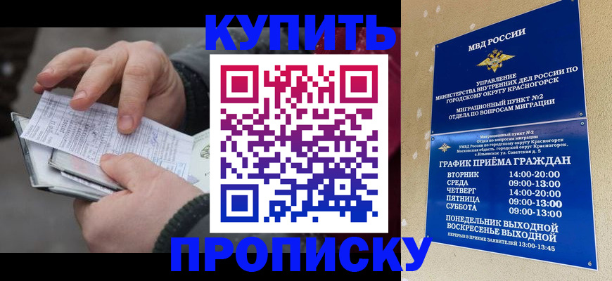 временная регистрация недорого в Цивильске